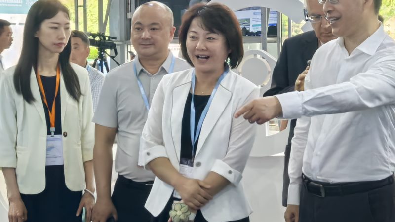 汽车配件批发价格：揭秘背后的市场逻辑